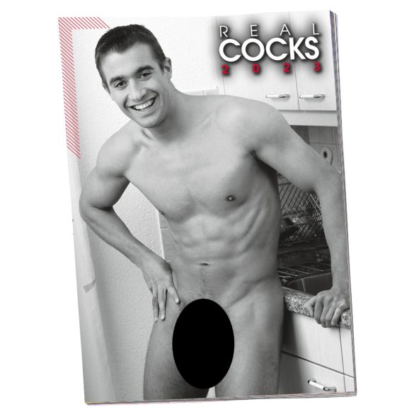 Calendario de Hombres Desnudos - 2026