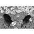 You2Toys - Diamond - plug anal de silicona (pequeño)