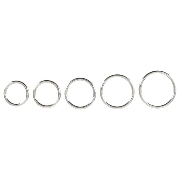 Bad Kitty - set de anillos metálicos para pene (5 piezas)