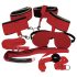 Set BDSM Bad Kitty - rojo