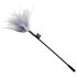 Pluma acariciadora de 50 sombras