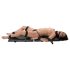 You2Toys - Bondage Board - set portátil de bondage (13 piezas)
