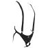 King Cock Strap-On 10 - consolador hueco de 25 cm