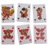 Kama Sutra - divertida baraja francesa (54 cartas)
