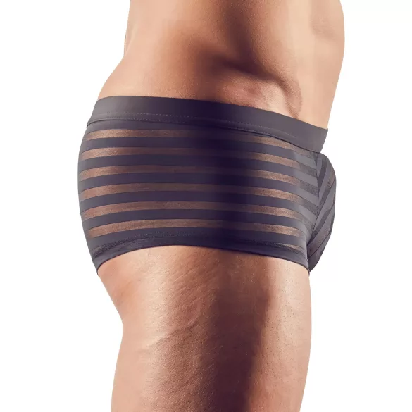 Boxer transparente de rayas - negro - L