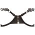 Cottelli - set de sujetador bordado brillante (negro)