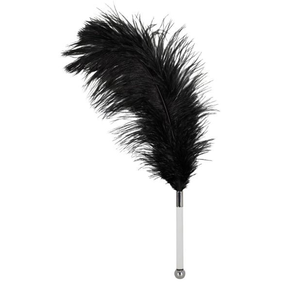 Pluma de avestruz acariciadora, mango acrílico (negra)