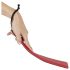 Gatita Traviesa - 2en1 Paleta (rojo)