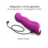 Love to Love Swap - Vibrador G-punto con pulsos recargable (lila)