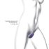 Wonderlover Vibrador 2 en 1 (lila)