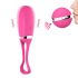 Delicia Secreta - huevo vibrador rosa inalámbrico