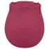 EIS Blush&Bloom - vibrador succionador y vibrador (rojo)