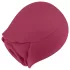 EIS Blush&Bloom - vibrador succionador y vibrador (rojo)