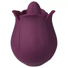   Amaysin - vibrador de clítoris tipo rosa con lengüeta (morado)