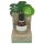 Coconutoil - Aceite Bio Post-Afeitado & Depilación (50ml)