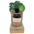 Coconutoil - Bio Aceite Bronzeador (80ml)