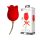 Amante Rosa 2en1 - Vibrador con lengua (rojo)