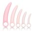 CalExotics Inspire - Set de Dilatadores Vaginales para Salud (rosa)