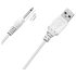 Cargador LOVENSE (Lush, Lush2) - Cable USB de carga