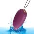 Huevo Vibrador Engily Ross Garland - Lila