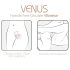 Adrien Lastic Venus - Vibrador doble punto G y clítoris (rosa)