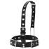 Latetobed - collar con gancho para hocico (negro)