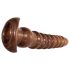 Evolved Twisted Love - Set de Dildos Anales (Estilo Madera)