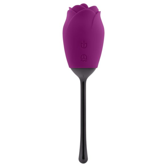 Playboy - vibrador rosa con lengua, recargable e impermeable (lila)