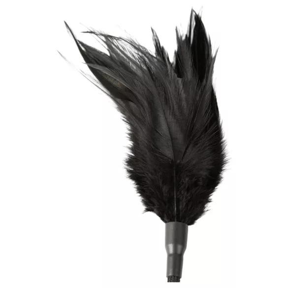 Sei Mio - paleta y acariciador - negro