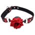 Master Series - mordaza rosa de silicona (roja)