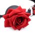 Master Series - mordaza rosa de silicona (roja)