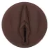 Fleshlight Nicole Kitt Purrrrrfection - masturbador - vagina