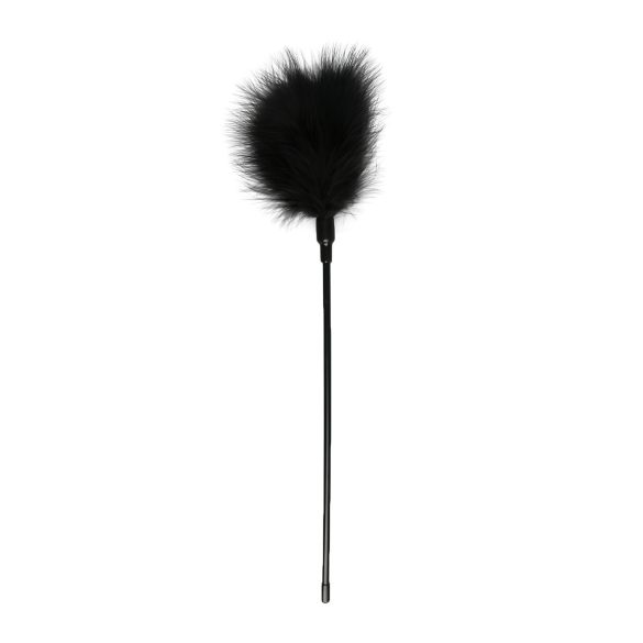 Easytoys - Pluma Acariciadora Larga (Negra)