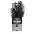EasyToys - Pluma Larga Acariciadora (Negra)