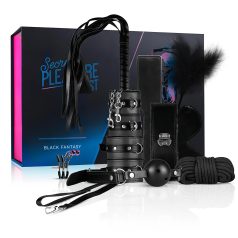Secret Pleasure Chest - kit de BDSM avanzado - 14 piezas (negro)   Secret Pleasure Chest - kit de BDSM avanzado - 14 piezas (negro)