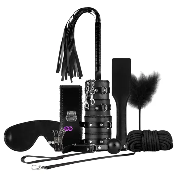 Cofre de Placer Secreto - kit avanzado de BDSM - 14 piezas (negro)