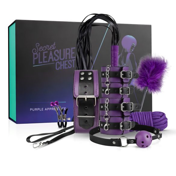 Secret Pleasure Chest - kit BDSM avanzado (14 piezas)