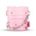 Cofre de Placer Secreto - Set BDSM Avanzado de 14 Piezas (Rosa)