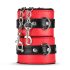 Cofre del Placer Secreto - kit BDSM avanzado 10 piezas (rojo)