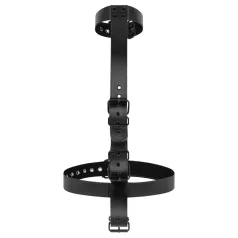 Bedroom Fantasies - Kit BDSM con collar y esposas - negro