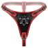Easytoys - Arnés ajustable con triple dildo (negro)