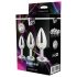 Gleaming Love - Set de plugs anales plateados (3 piezas)
