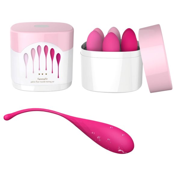 Juego de bolas de geisha Femmefit (6 piezas)