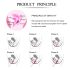 Juego de bolas de geisha Femmefit (6 piezas)
