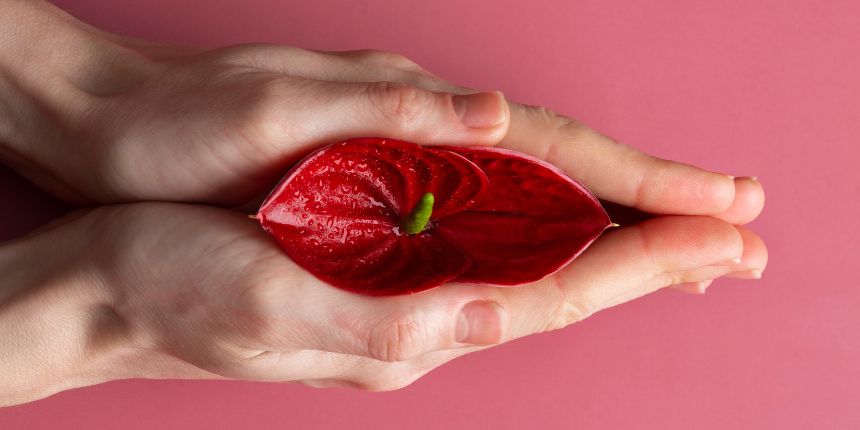 Estimulación del clítoris con un juguete discreto, lovesexshop.es sex shop